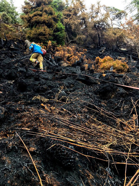 getting hoses into the wood